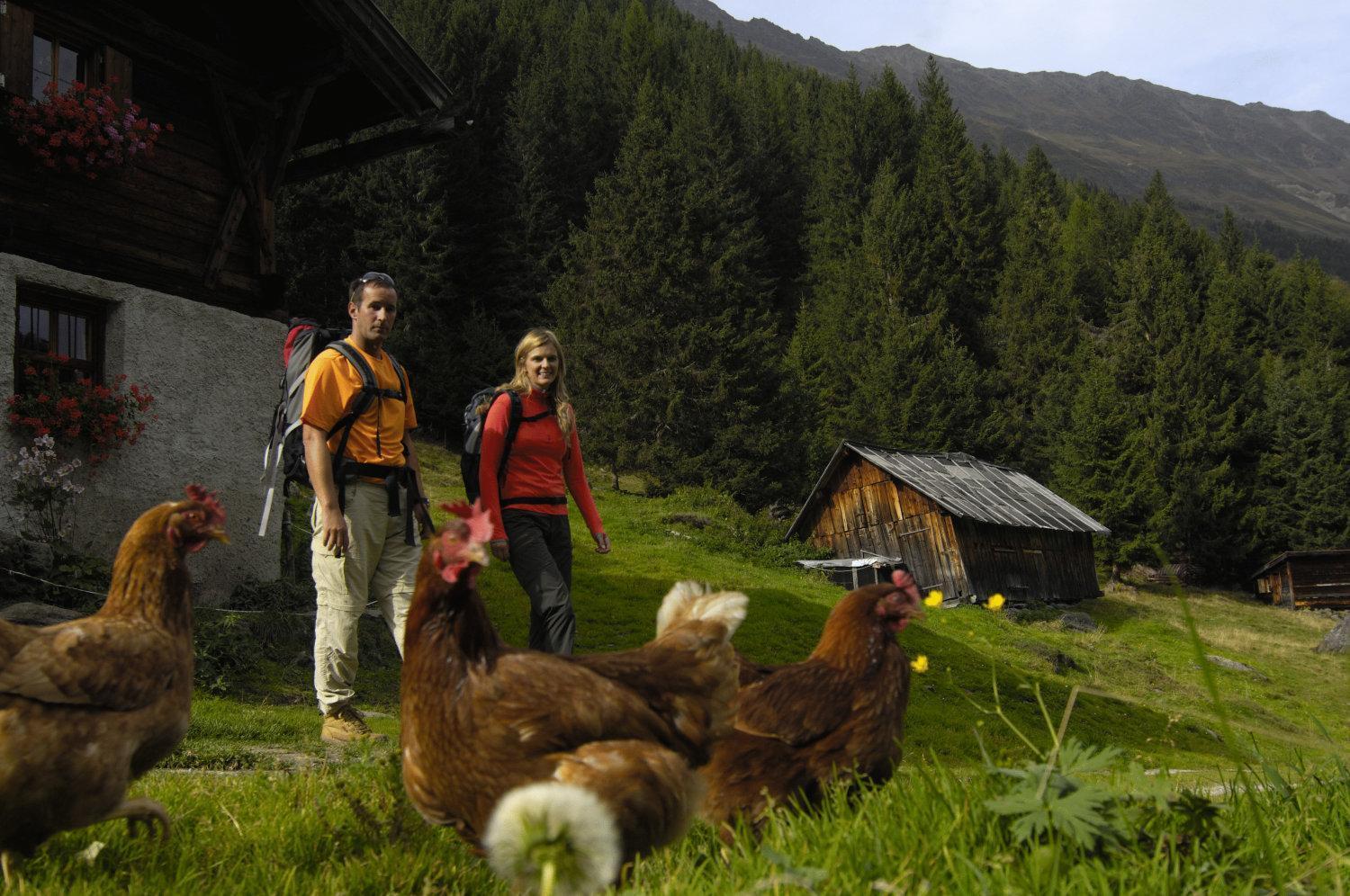 Апартаменти Aparthaus Camping Stubai Нойштіфт-ім-Штубайталь Екстер'єр фото